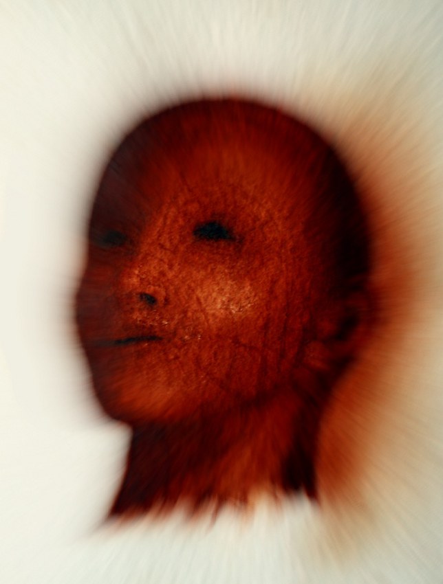 Illusion